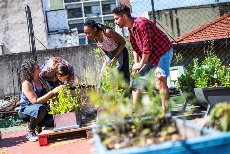 Plants, Money, & Sustainability