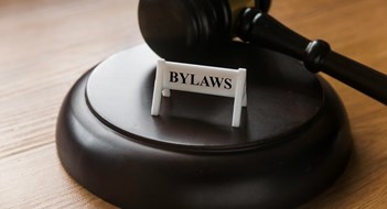 Laws vs. Bylaws Laws vs. Bylaws