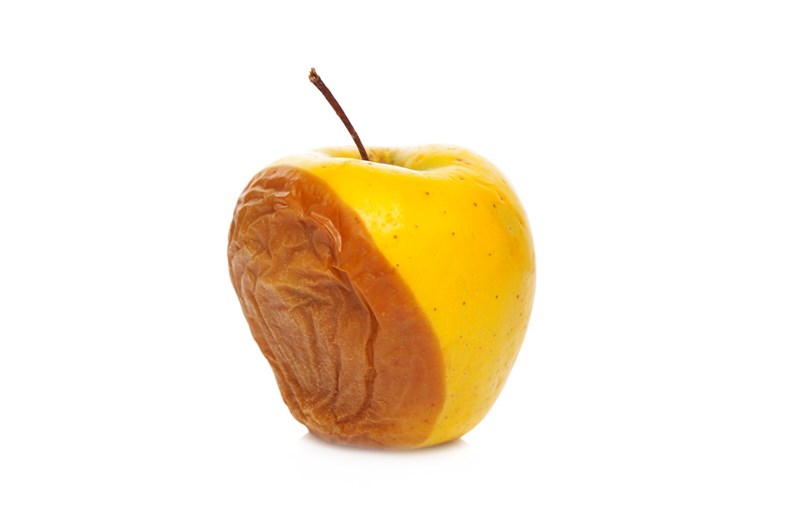 Rotten apple isolated on white background
