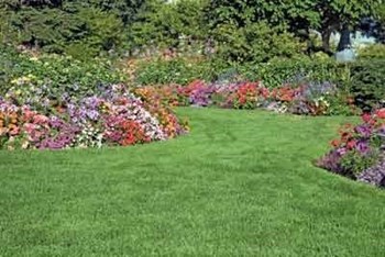 Enlivening your Landscape