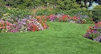 Enlivening your Landscape Enlivening your Landscape