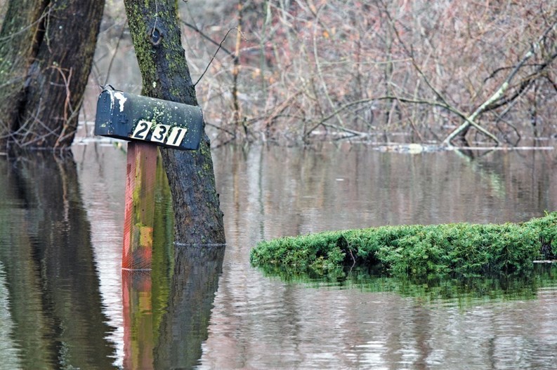 Not High and Dry
