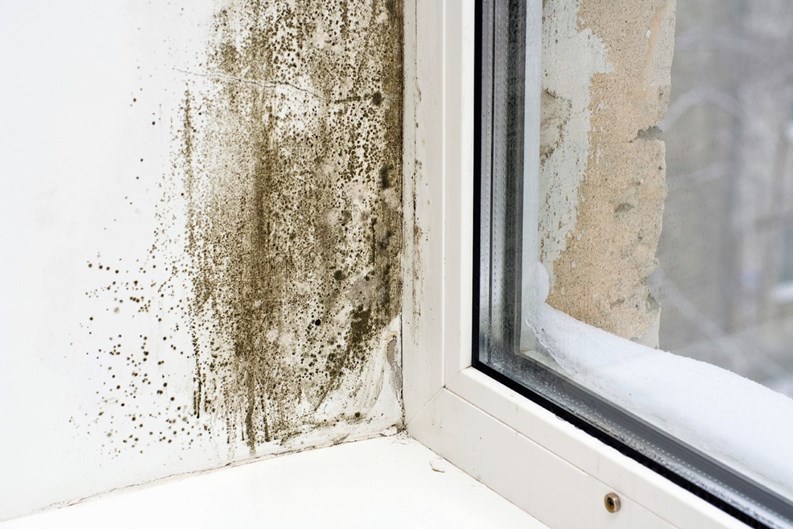 Household Hazards!