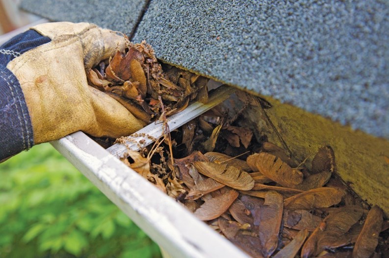 Go With Your Gutter