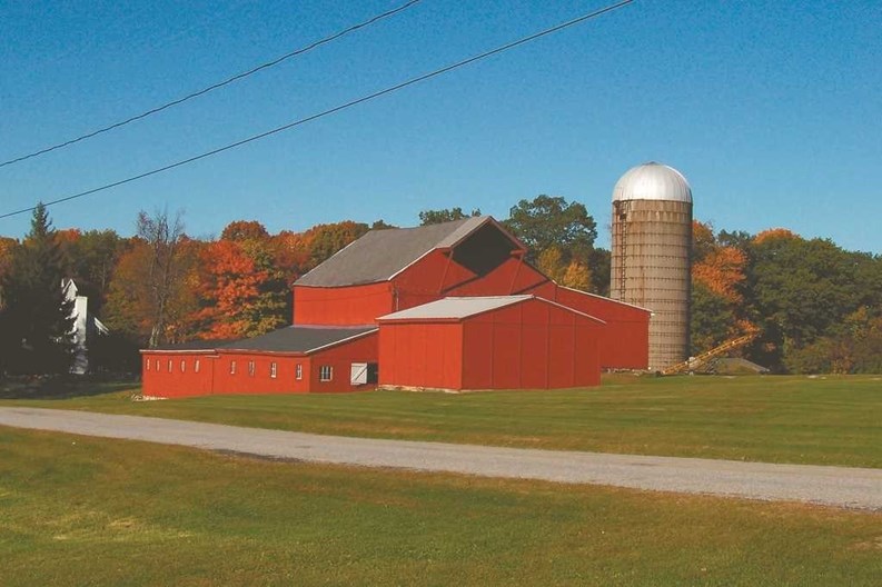 Life in Litchfield County