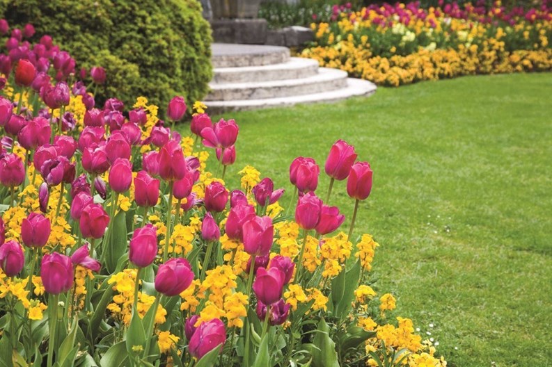Feeling Flowerful?
