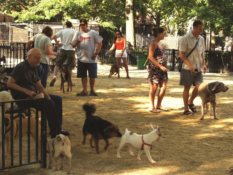 Catering to Man's Best Friend