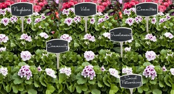 Cultivating Community Cultivating Community