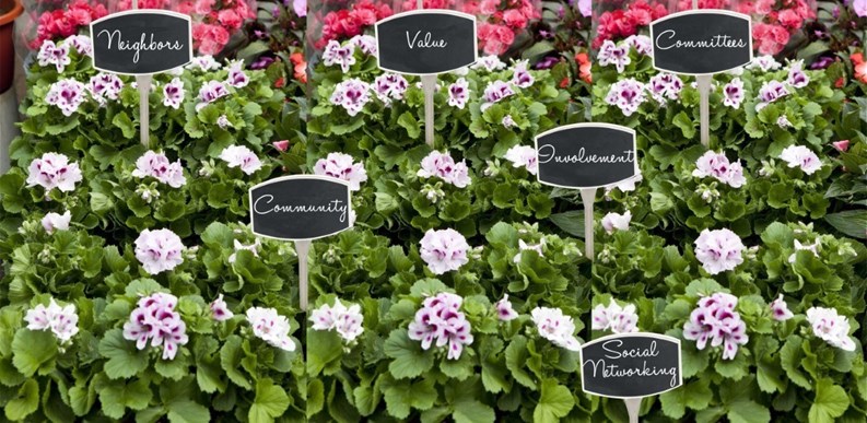 Cultivating Community