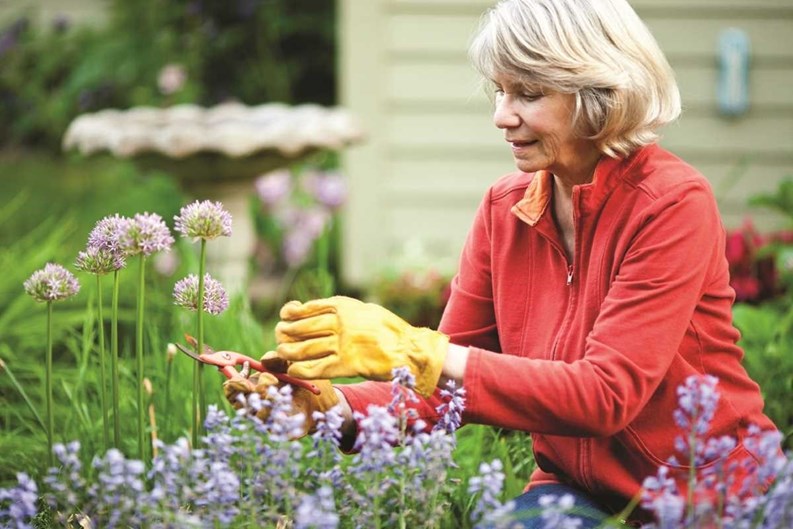 Enhancing Curb Appeal