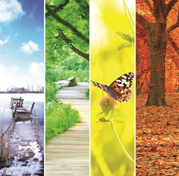 April Showers …