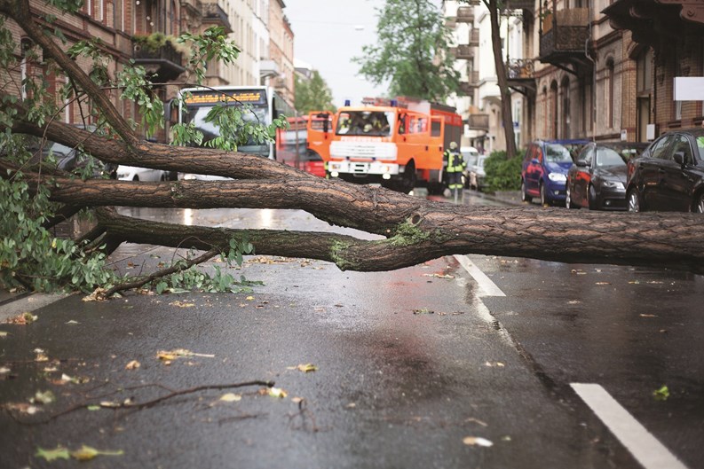Disaster Recovery