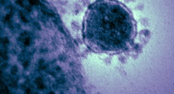 Coronavirus & COVID-19 Coronavirus & COVID-19